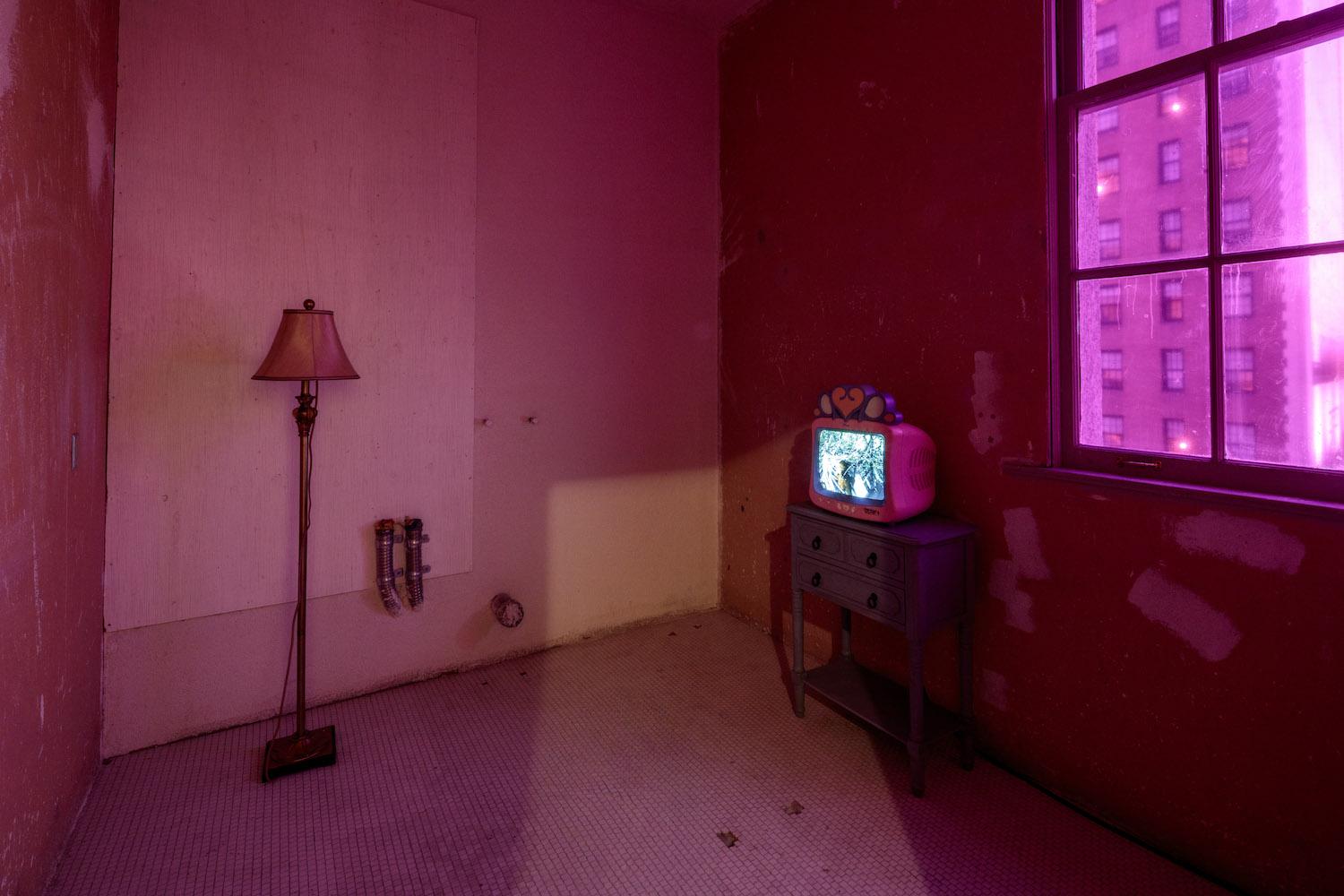 Precious Okoyomon "It’s dissociating season", 2019, Installationsansicht, "What a Wonderful World: An Audiovisual Poem", 2026