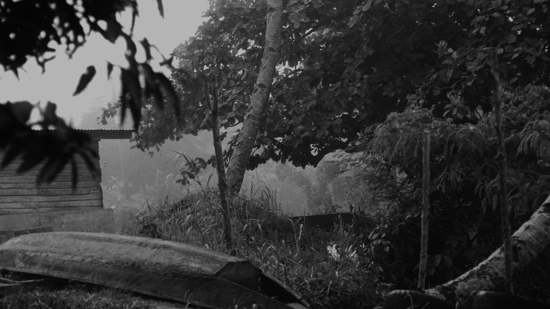Mario Pfeifer "Wutame / Caché", Filmstill, 2026
