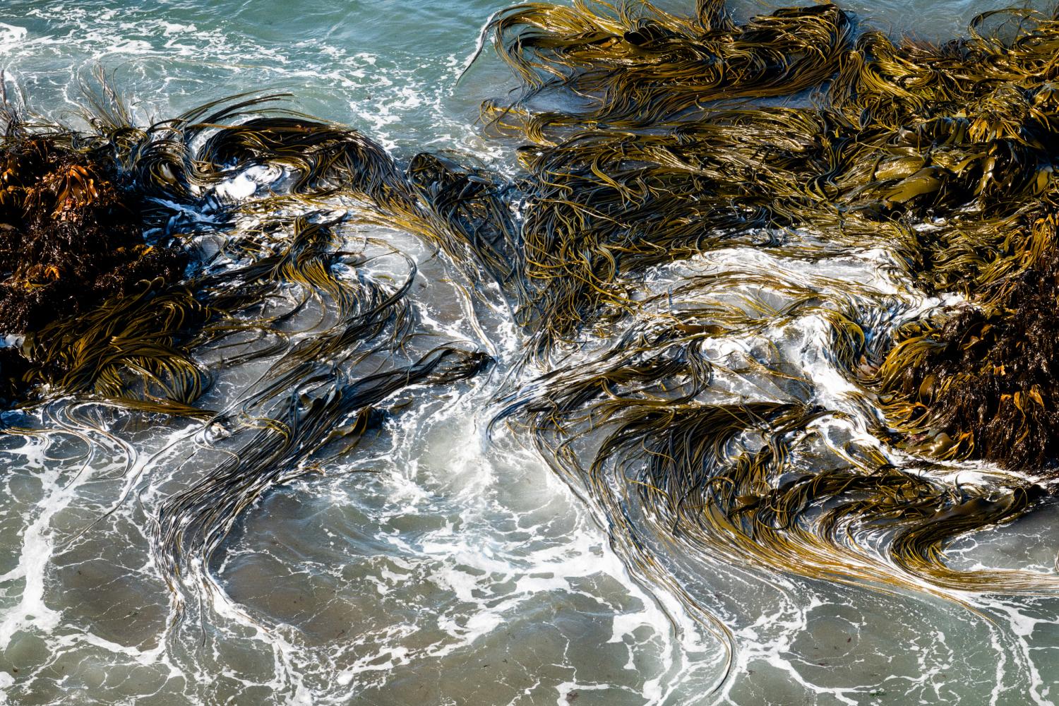 Jörg Brüggemann "Aguas que no has de beber", 2022