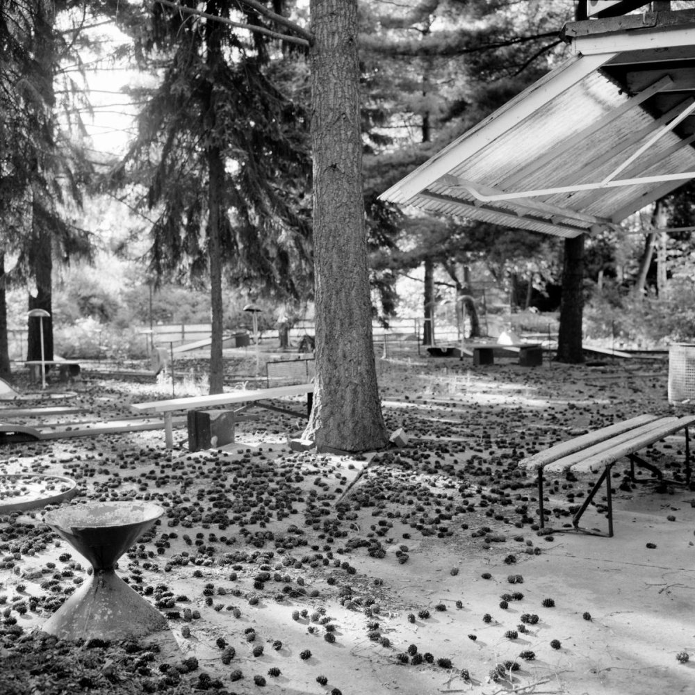 Schwarzweißfoto: Waldpavillon mit Bänken; Boden voller Zapfen; ambossförmige Skulptur vorn.