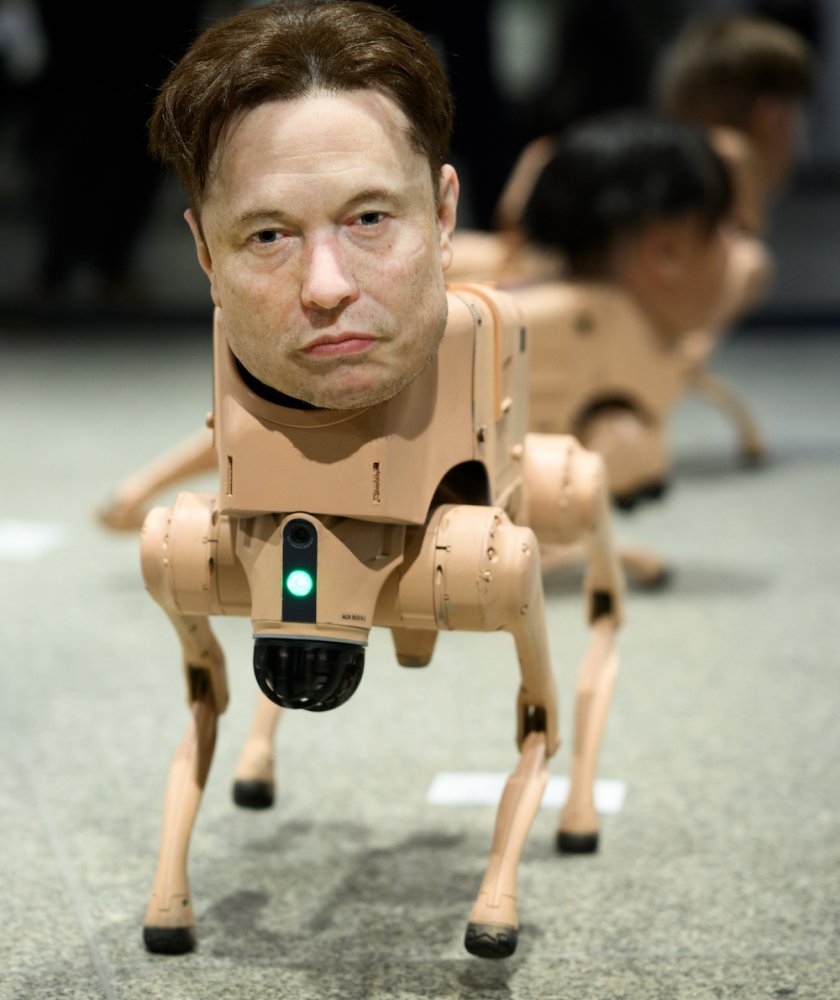 Installationsansicht: mehrere vierbeinige Roboter in Reihe mit realistischen menschlichen Gesichtern